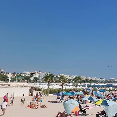 Les Mimosas, Seaview And Pool. 칸느